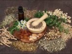 Herbal Campur